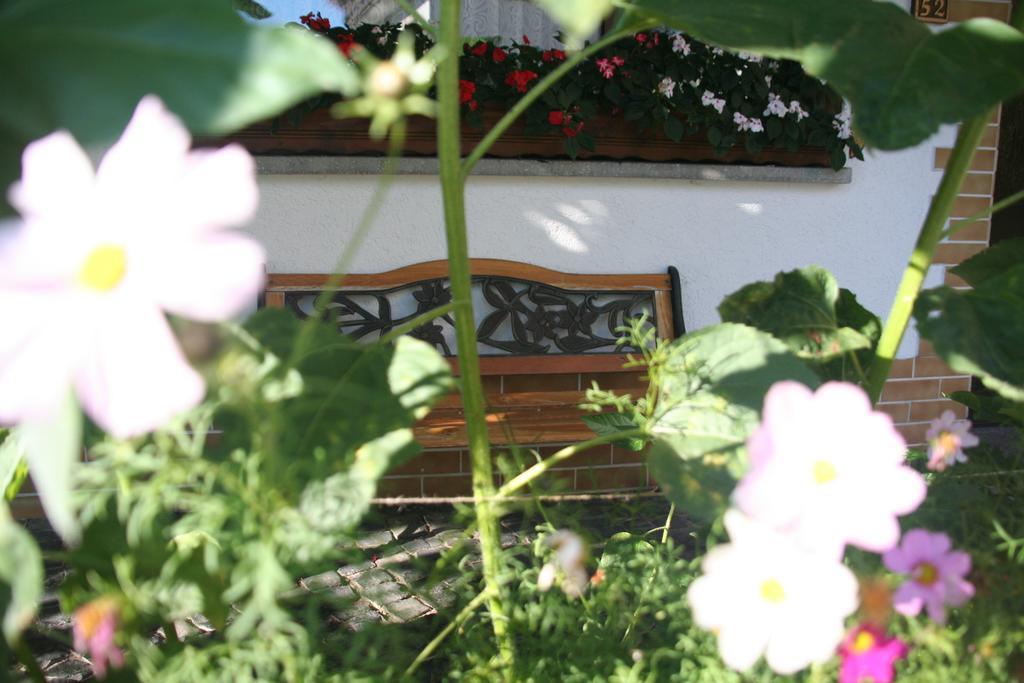 Hotel - Restaurant Berghof Berghausen  Dış mekan fotoğraf